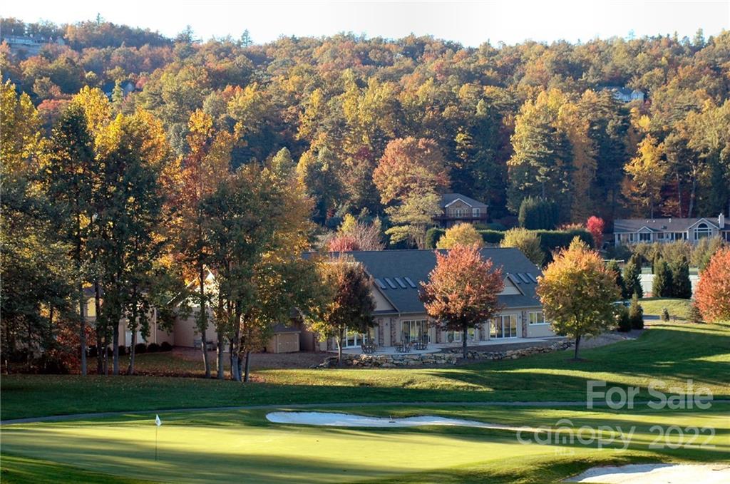 219 Kenmure Drive Flat Rock, NC 28731 - Photo 2 of 8