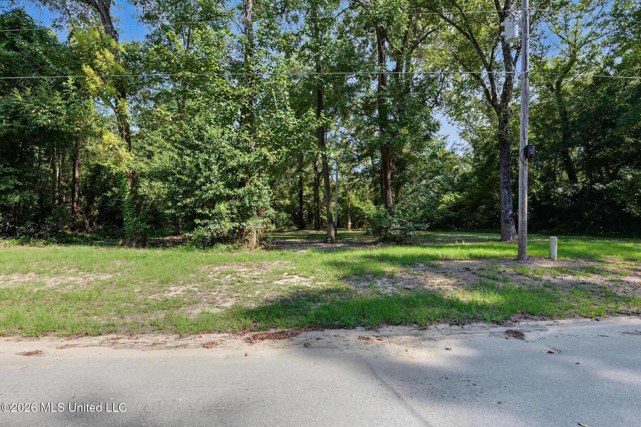 132 River Bend Road Lucedale, MS 39452 - Photo 20 of 34 Lot