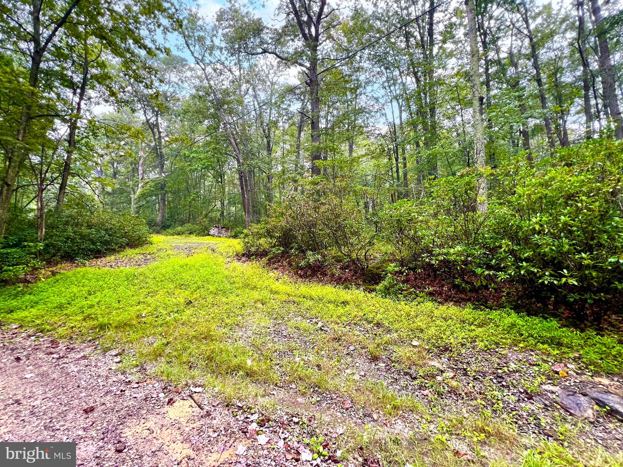 9-10 Grouse Run Road Oakland, MD 21550 - Photo 2 of 20 Gallery Image 2