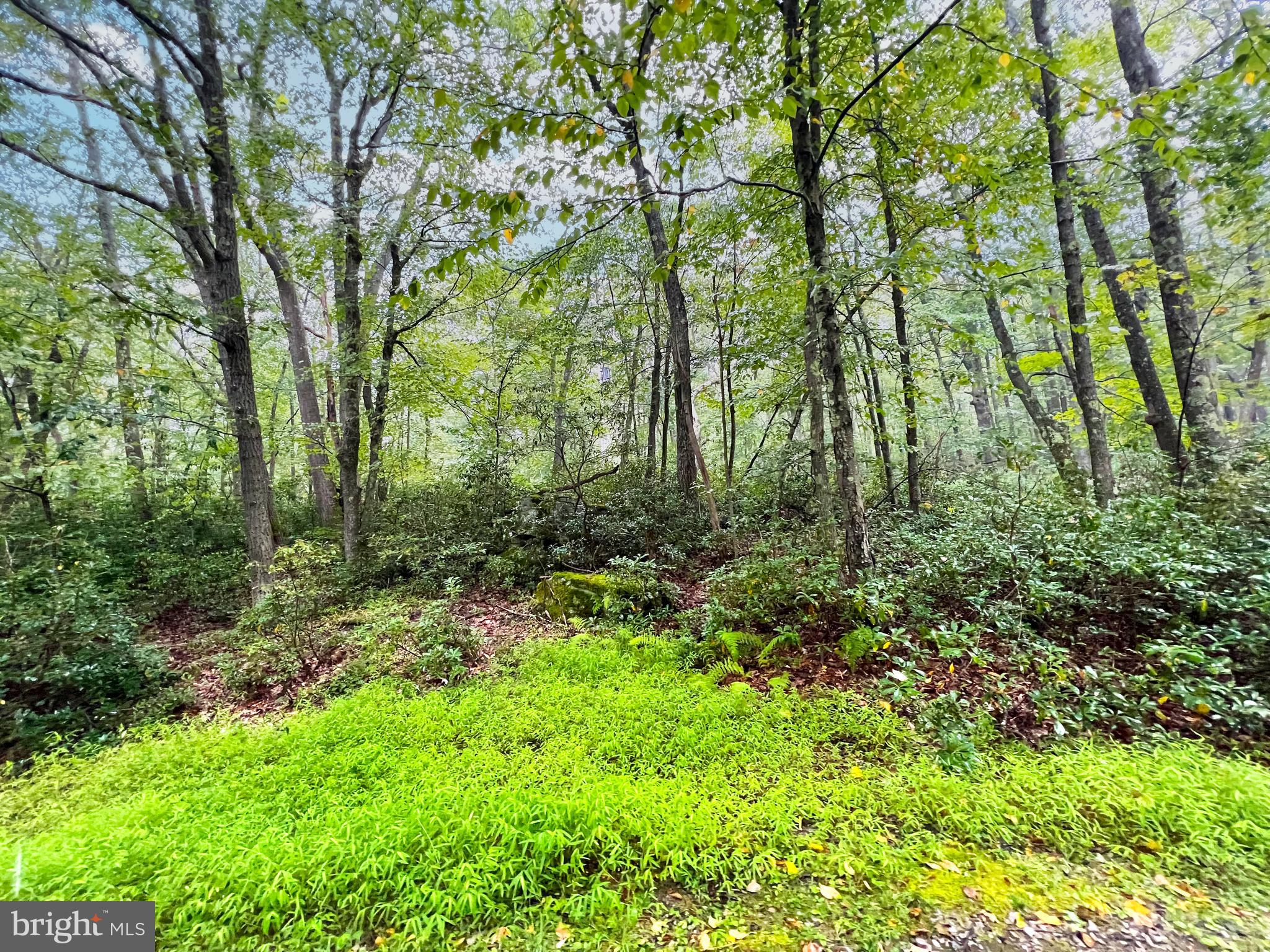 9-10 Grouse Run Road Oakland, MD 21550 - Photo 3 of 20 Gallery Image 3