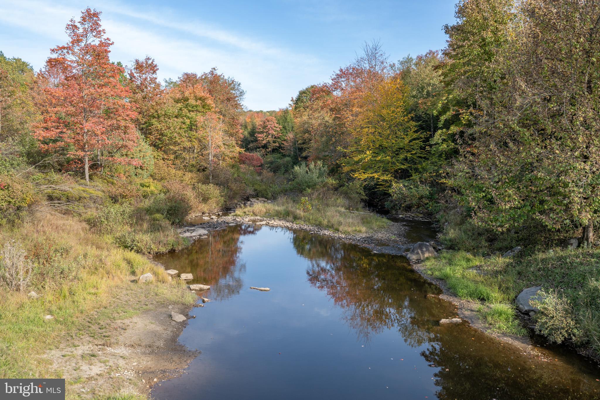9-10 Grouse Run Road Oakland, MD 21550 - Photo 5 of 20 Gallery Image 5