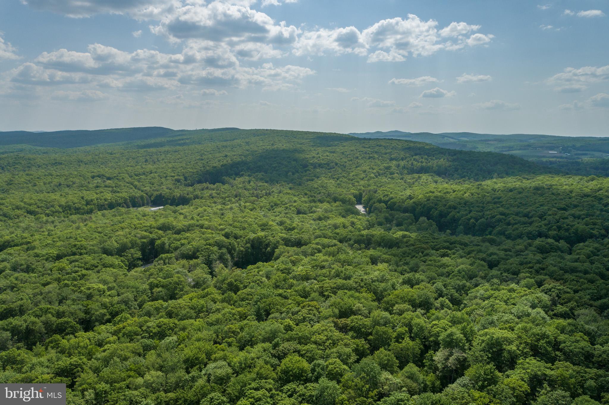 9-10 Grouse Run Road Oakland, MD 21550 - Photo 8 of 20 Gallery Image 8