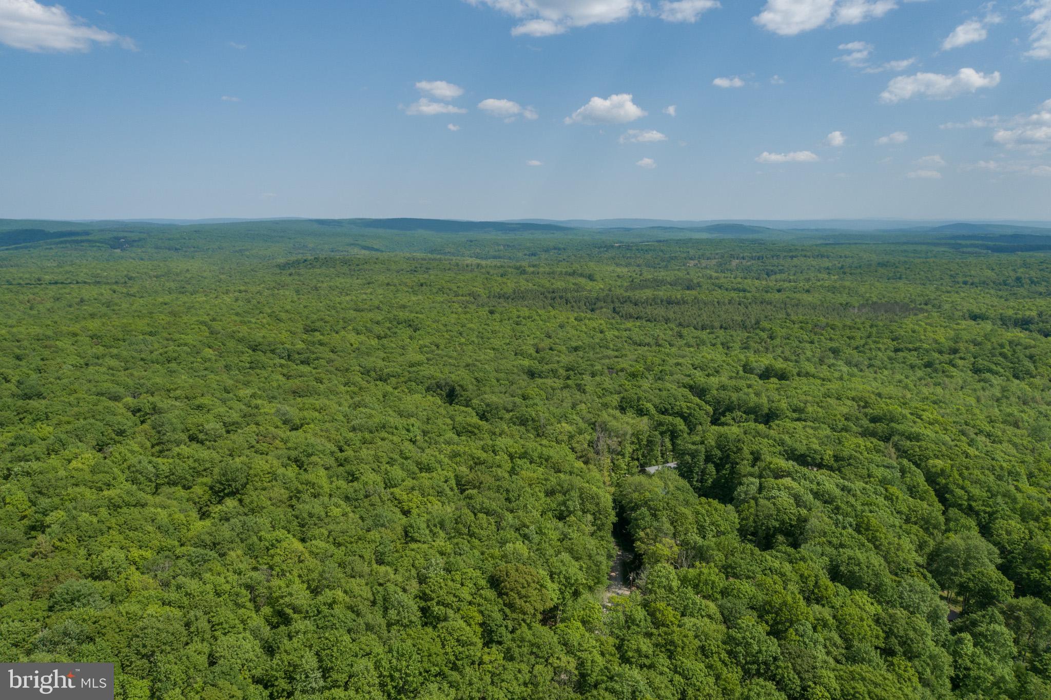 9-10 Grouse Run Road Oakland, MD 21550 - Photo 9 of 20 Gallery Image 9