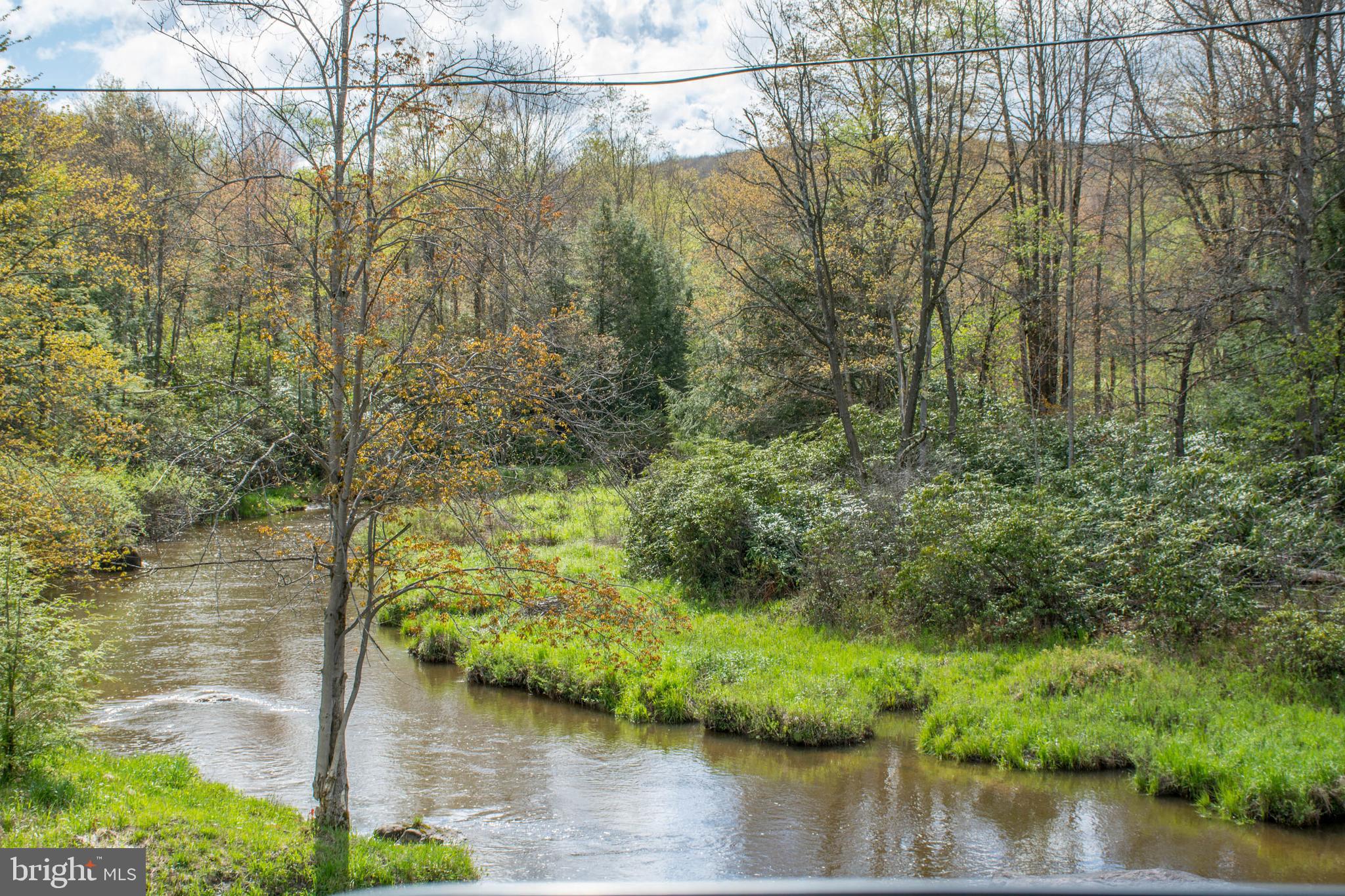 9-10 Grouse Run Road Oakland, MD 21550 - Photo 10 of 20 Gallery Image 10