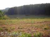 0 Brims Grove Road Pinnacle, NC 27043 - Photo 3 of 7 Other. view of land
