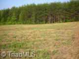 0 Brims Grove Road Pinnacle, NC 27043 - Photo 4 of 7 Other. view of land