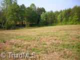 0 Brims Grove Road Pinnacle, NC 27043 - Photo 5 of 7 Other. view of land