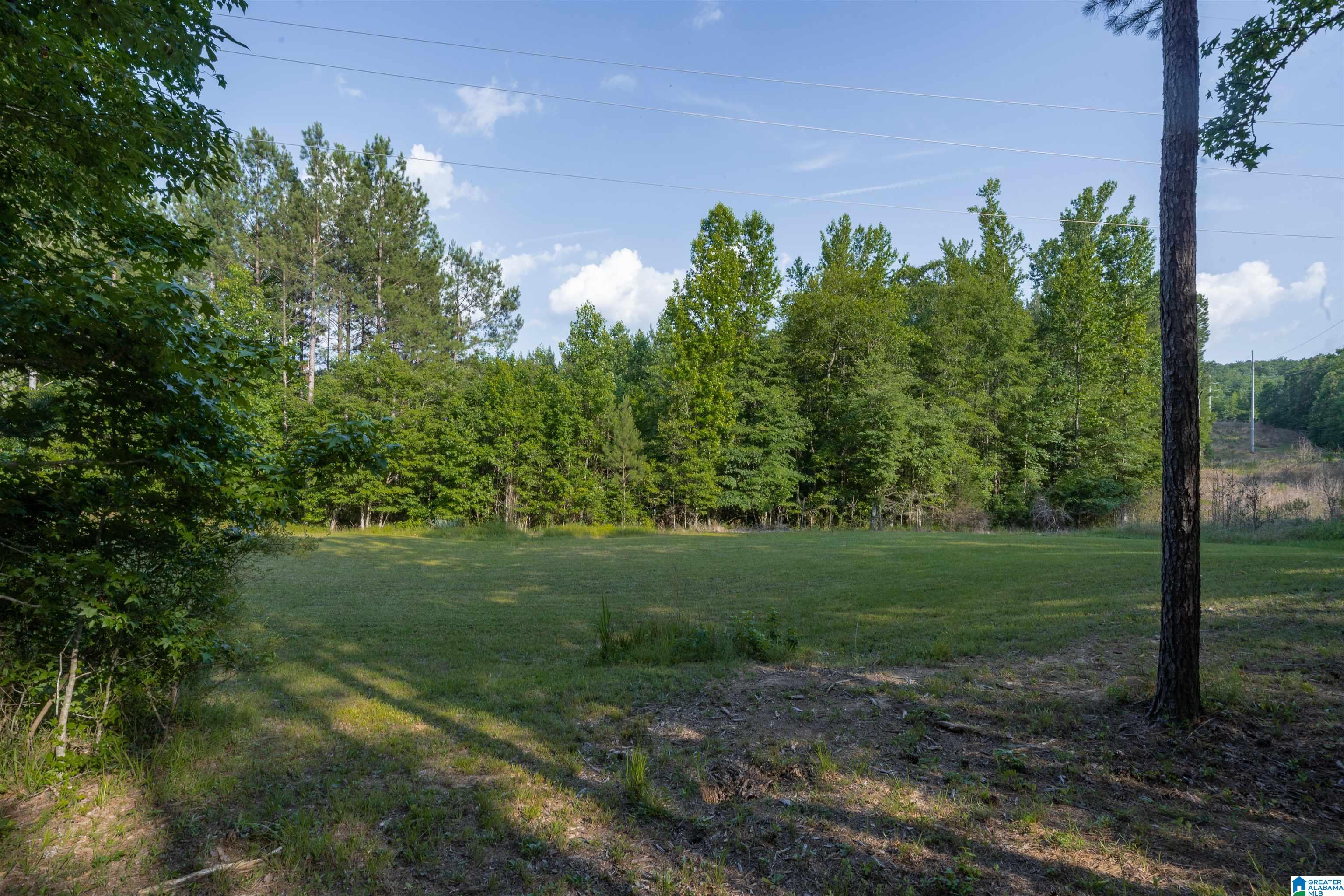 4324 Highway 331 Chelsea, AL 35043 - Photo 50 of 57