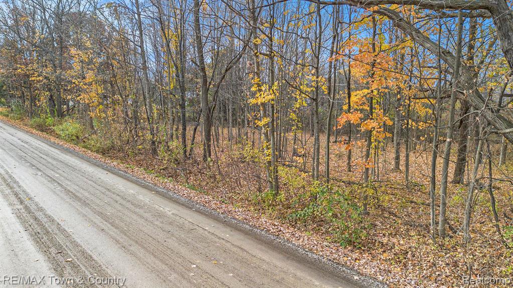 6086 Washburn Road Goodrich, MI 48438 - Photo 8 of 8