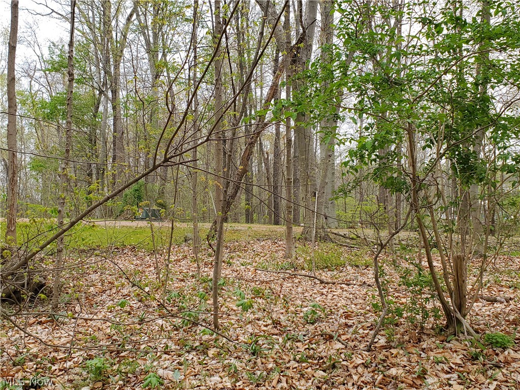 10380 Pifer Road Wadsworth, OH 44281 - Photo 33 of 34 Gallery Image 33