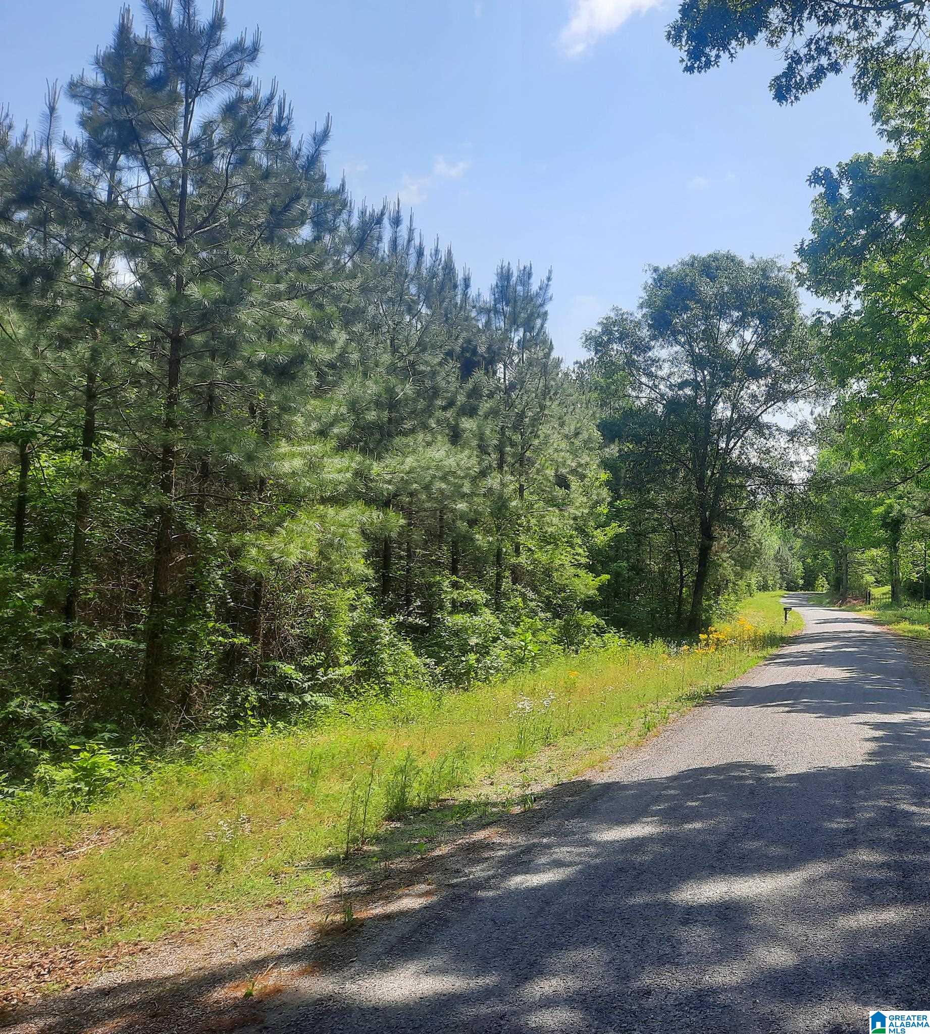 Hale Creek Road Oneonta, AL 35121 - Photo 17 of 17