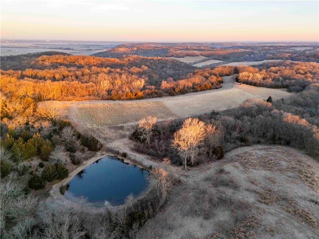 0 Brown Road Rushville, MO 64484 - Photo 18 of 83
