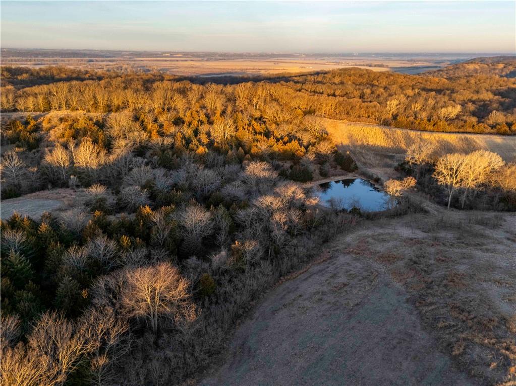 0 Brown Road Rushville, MO 64484 - Photo 23 of 83
