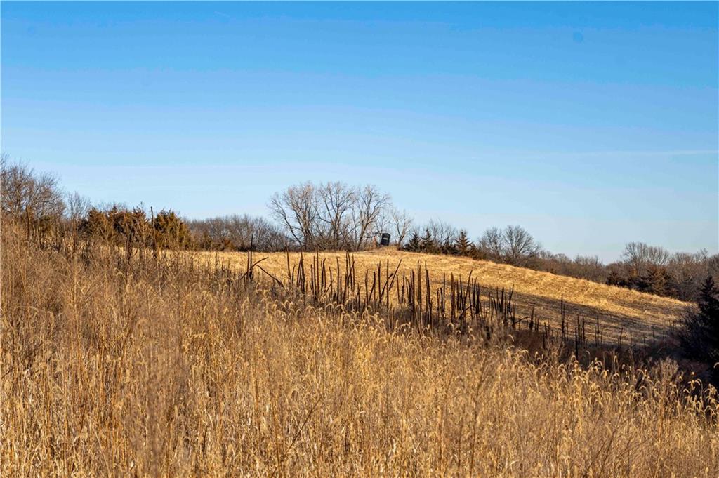 0 Brown Road Rushville, MO 64484 - Photo 26 of 83