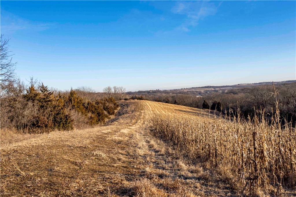 0 Brown Road Rushville, MO 64484 - Photo 27 of 83