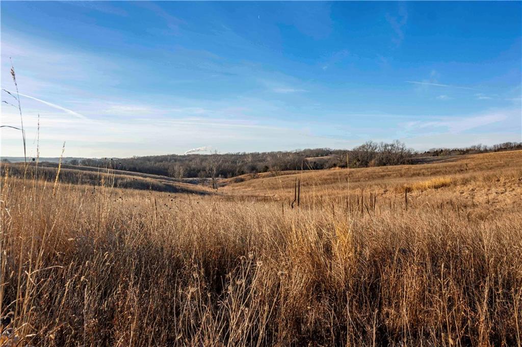 0 Brown Road Rushville, MO 64484 - Photo 50 of 83