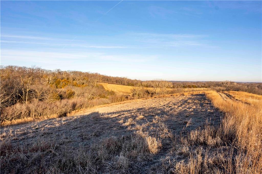 0 Brown Road Rushville, MO 64484 - Photo 55 of 83