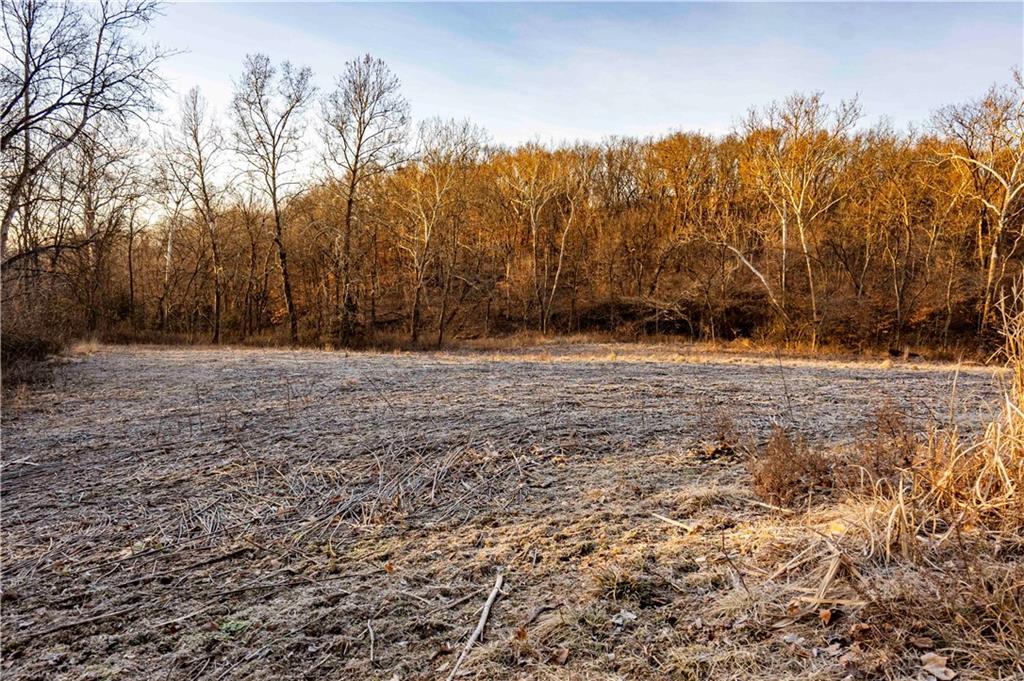 0 Brown Road Rushville, MO 64484 - Photo 61 of 83