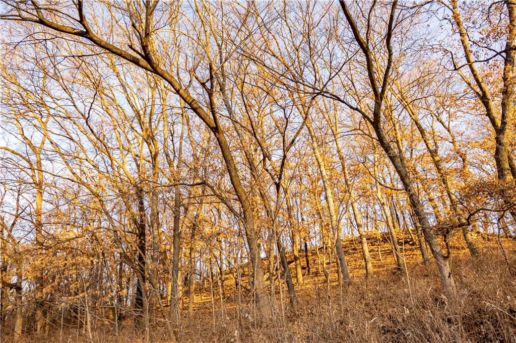 0 Brown Road Rushville, MO 64484 - Photo 77 of 83