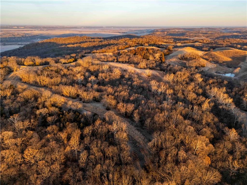 0 Brown Road Rushville, MO 64484 - Photo 80 of 83