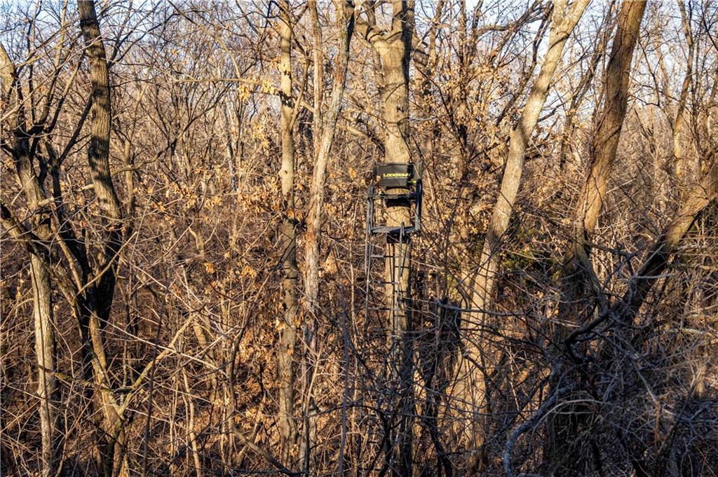 0 Brown Road Rushville, MO 64484 - Photo 81 of 83