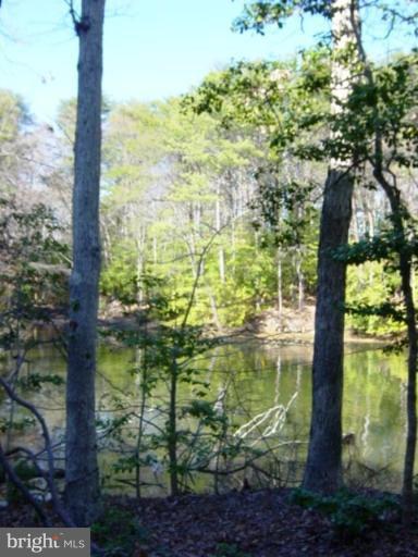 721 Runabout Loop, Unit 721 Solomons, MD 20688 - Photo 20 of 23 a view of lake from balcony