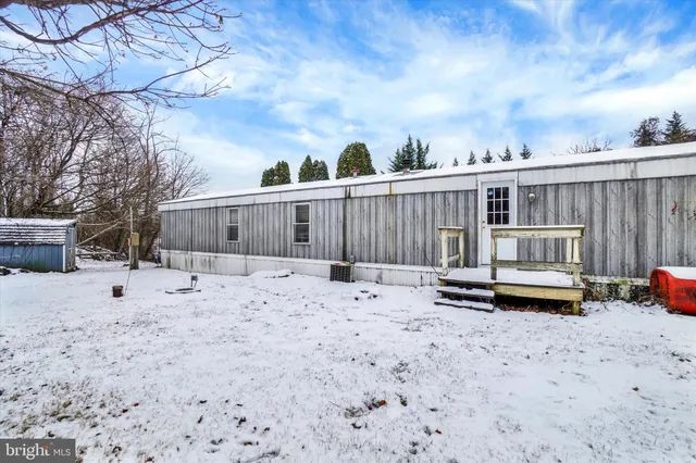 a view of a backyard with a large tree