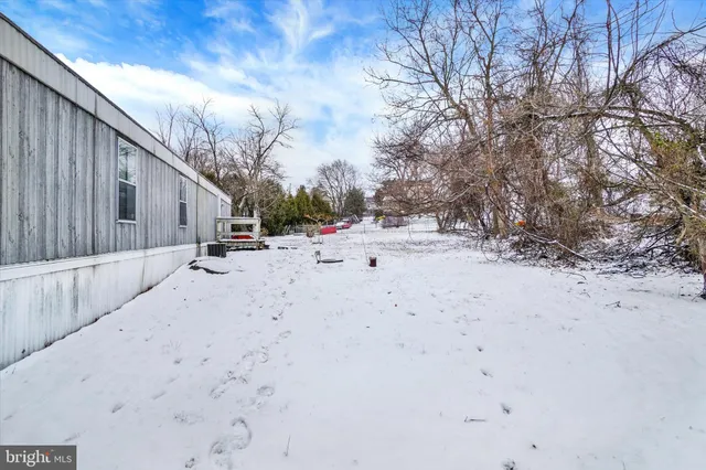 a view of road with large trees
