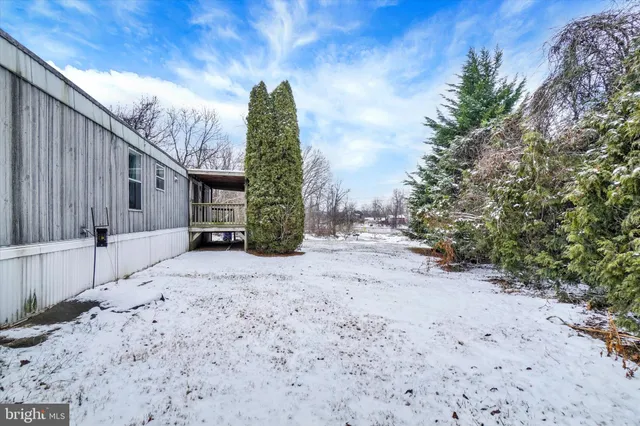a view of a backyard with large trees and wooden fence