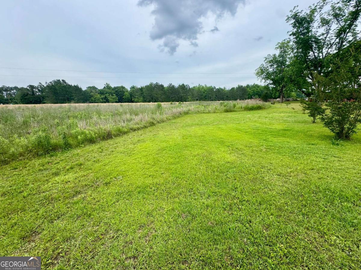 Tract 3 Grimsley Road Tifton, GA 31794 - Photo 2 of 5
