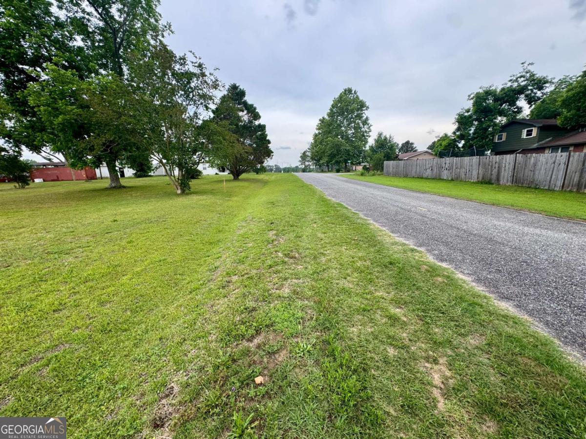 Tract 3 Grimsley Road Tifton, GA 31794 - Photo 3 of 5