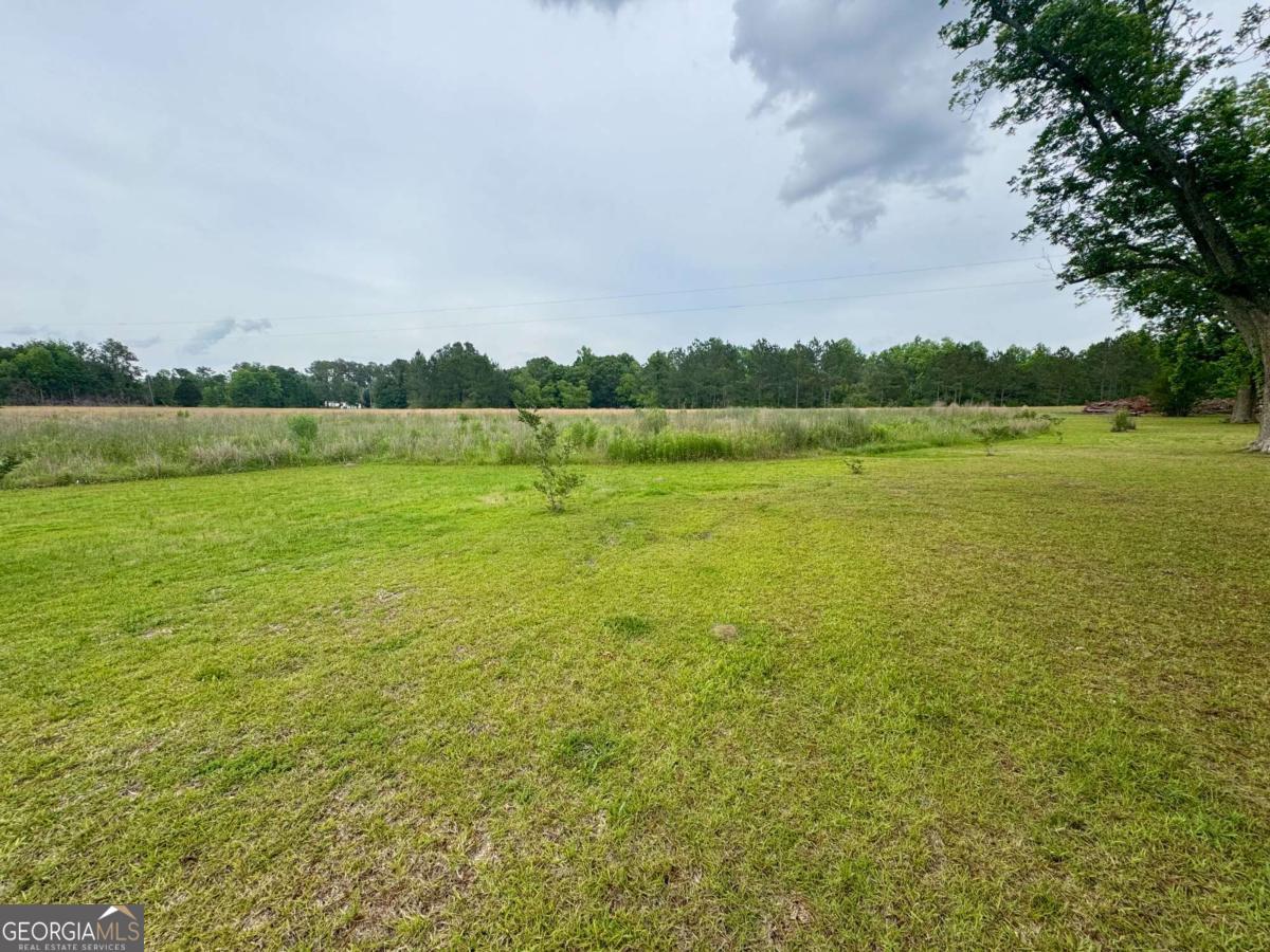 Tract 3 Grimsley Road Tifton, GA 31794 - Photo 4 of 5