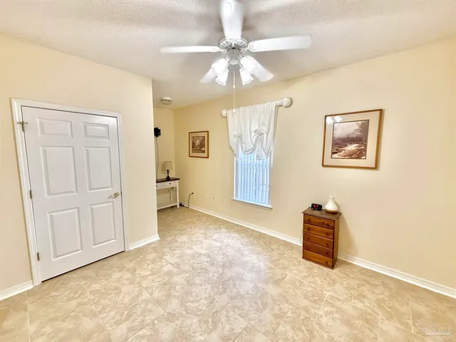 a view of a garden with plants and large trees