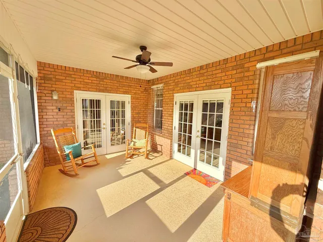 a view of a park with a tree