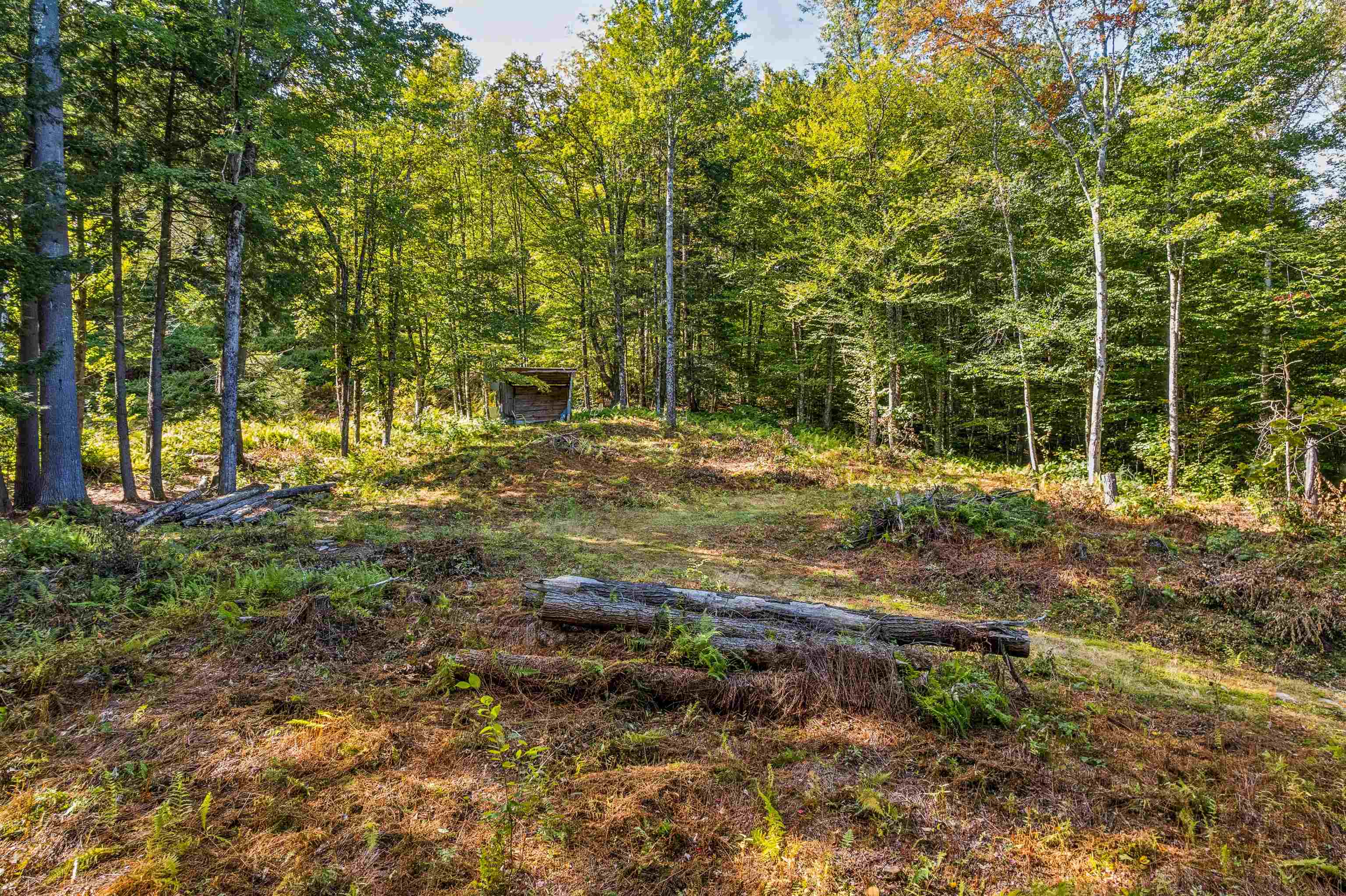 664 Ranney Road Stockbridge, VT 05772 - Photo 10 of 19 Gallery Image 10