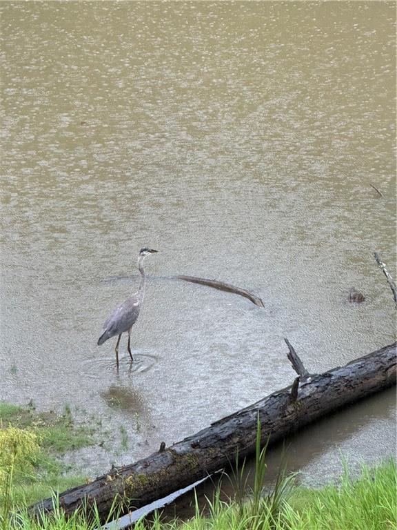 638 Glen Valley Way Dacula, GA 30019 - Photo 52 of 61