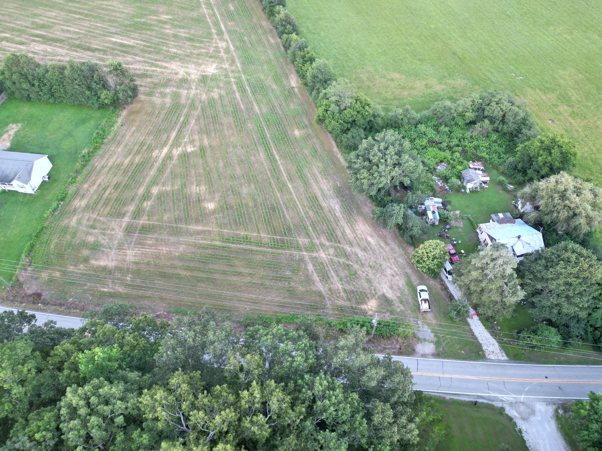 0 Six 6 Mile Board Road Belvidere, TN 37306 - Photo 2 of 3 a view of yard