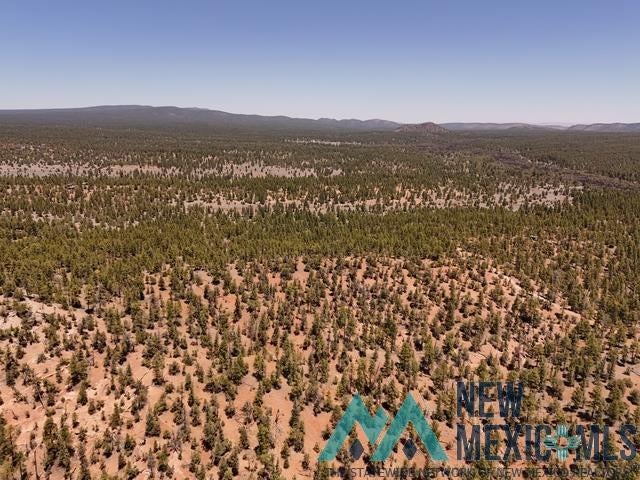 Tbd Tbd Little Arrow Road Grants, NM 87020 - Photo 62 of 69