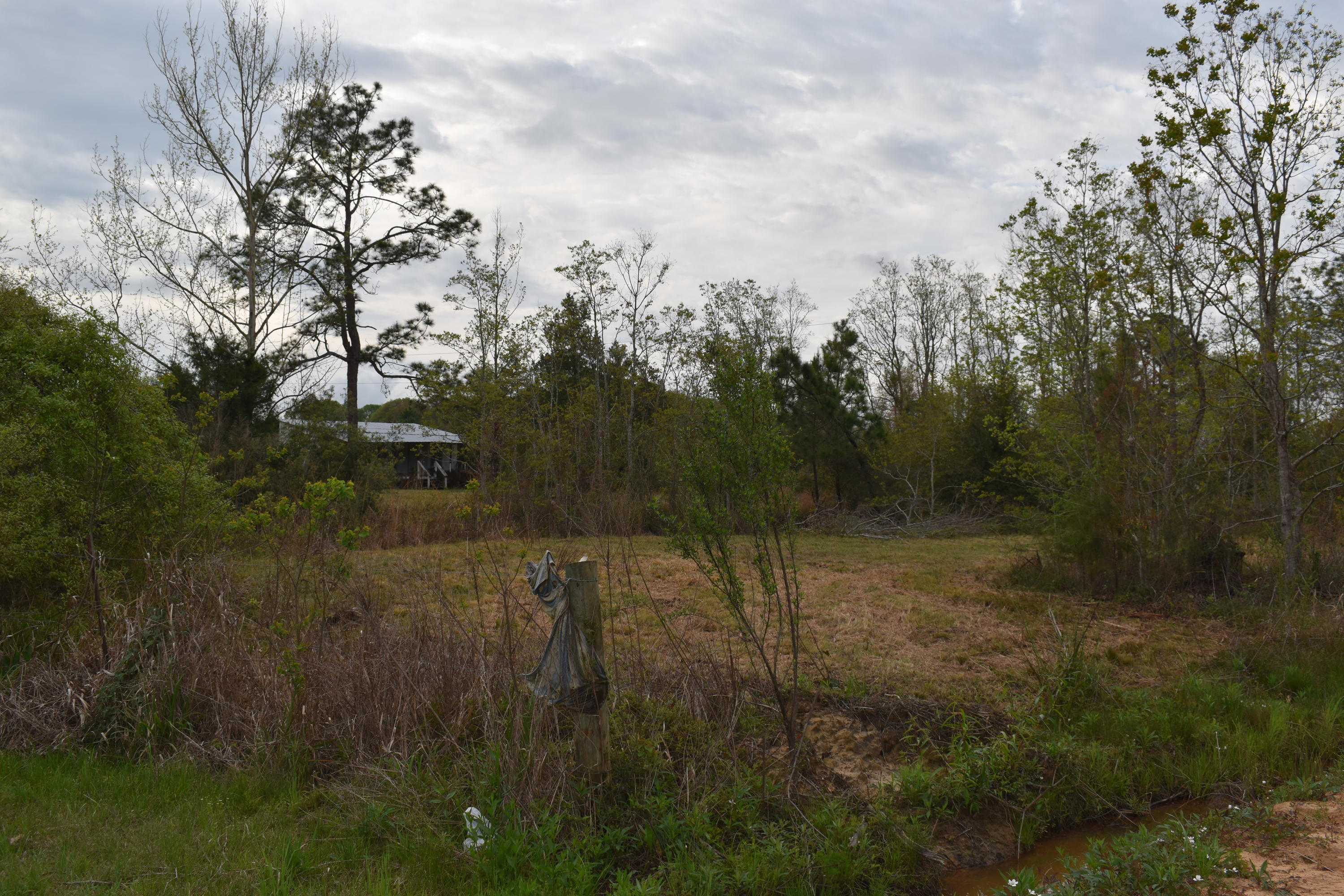 3653 Old Hickory Pond Road Cottondale, FL 32431 - Photo 33 of 40