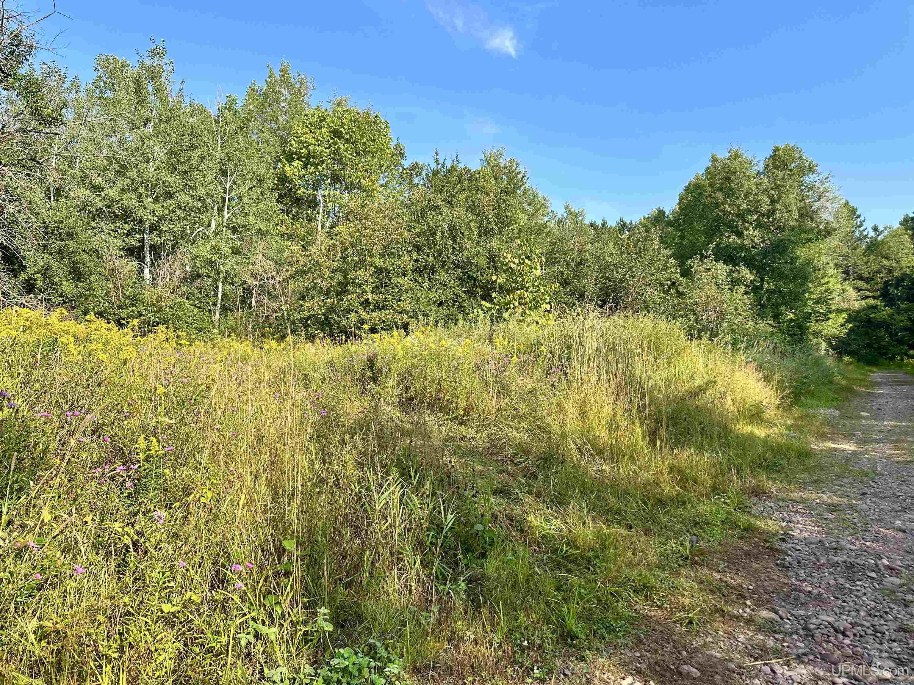 Tbd Crestview Road Ironwood, MI 49938 - Photo 49 of 49