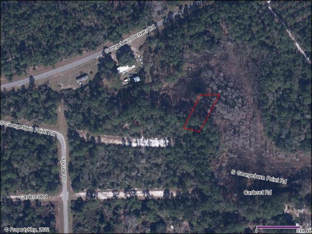 South Georgetown Point Road Georgetown, FL 32139 - Photo 4 of 4 a view of a tree