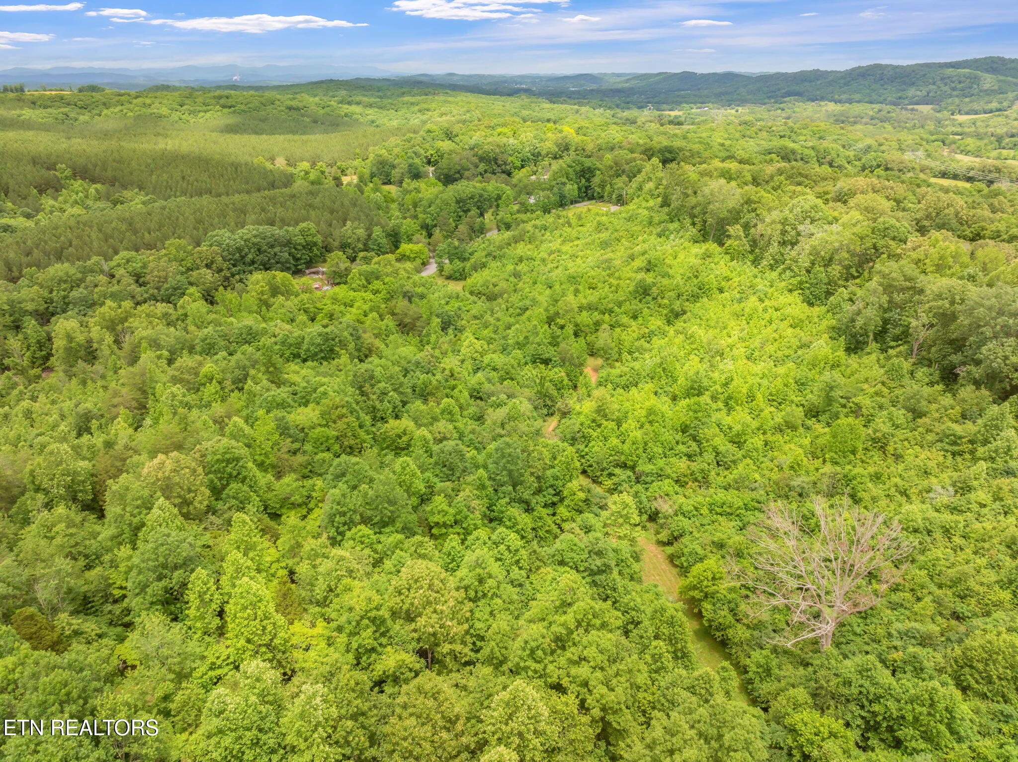 0 Grigsby Hollow Road Kingston, TN 37763 - Photo 27 of 34 30-web-or-mls-Grigsby Hollow Land-26
