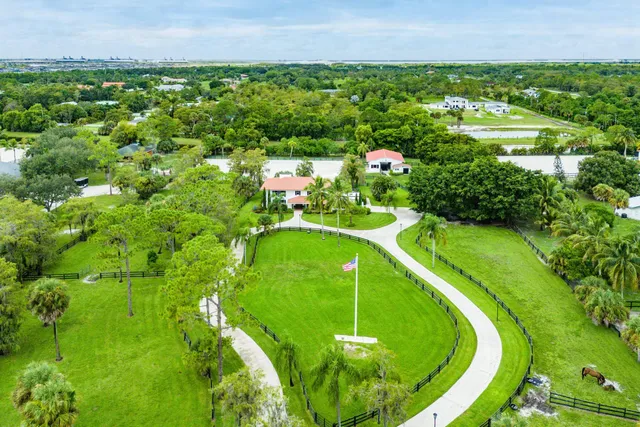 a view of a park with a tree