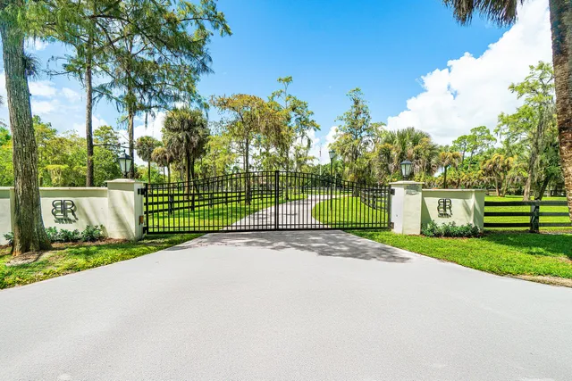 a view of a park with large trees