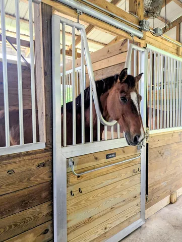 $1,995,000 | 2317 Fawn Drive, Loxahatchee, FL 33470