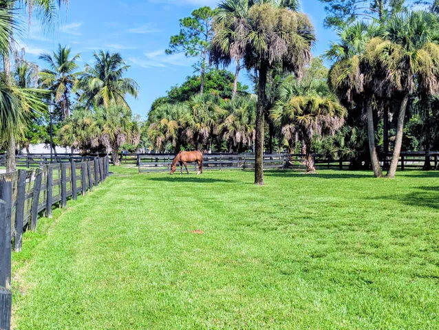 a front view of a house with a yard and potted plants