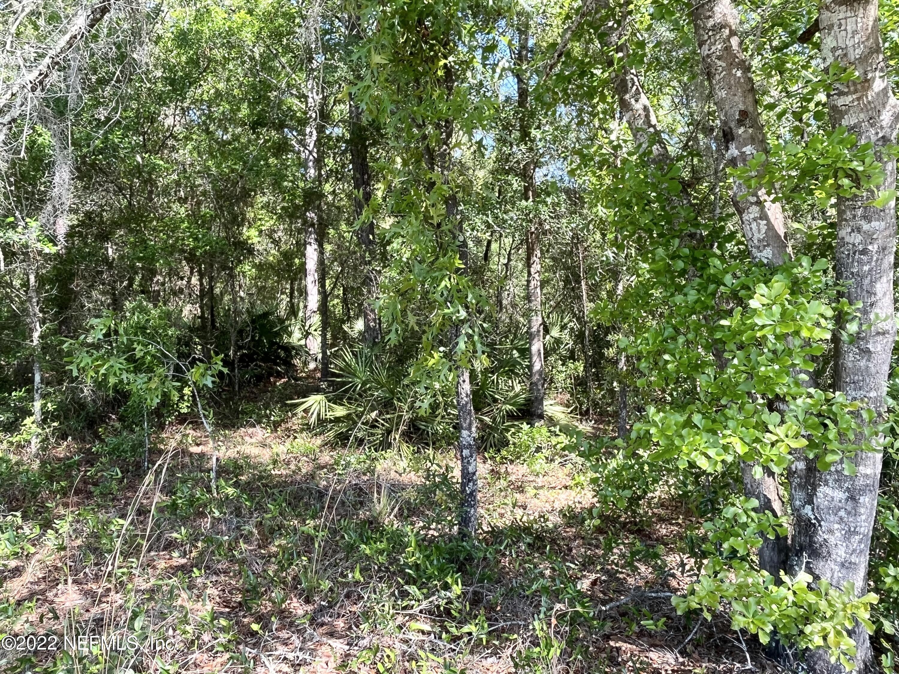 342 East Bannerville Road Palatka, FL 32177 - Photo 2 of 3 17D39DBB-E142-4FD9-8607-F195402C67ED