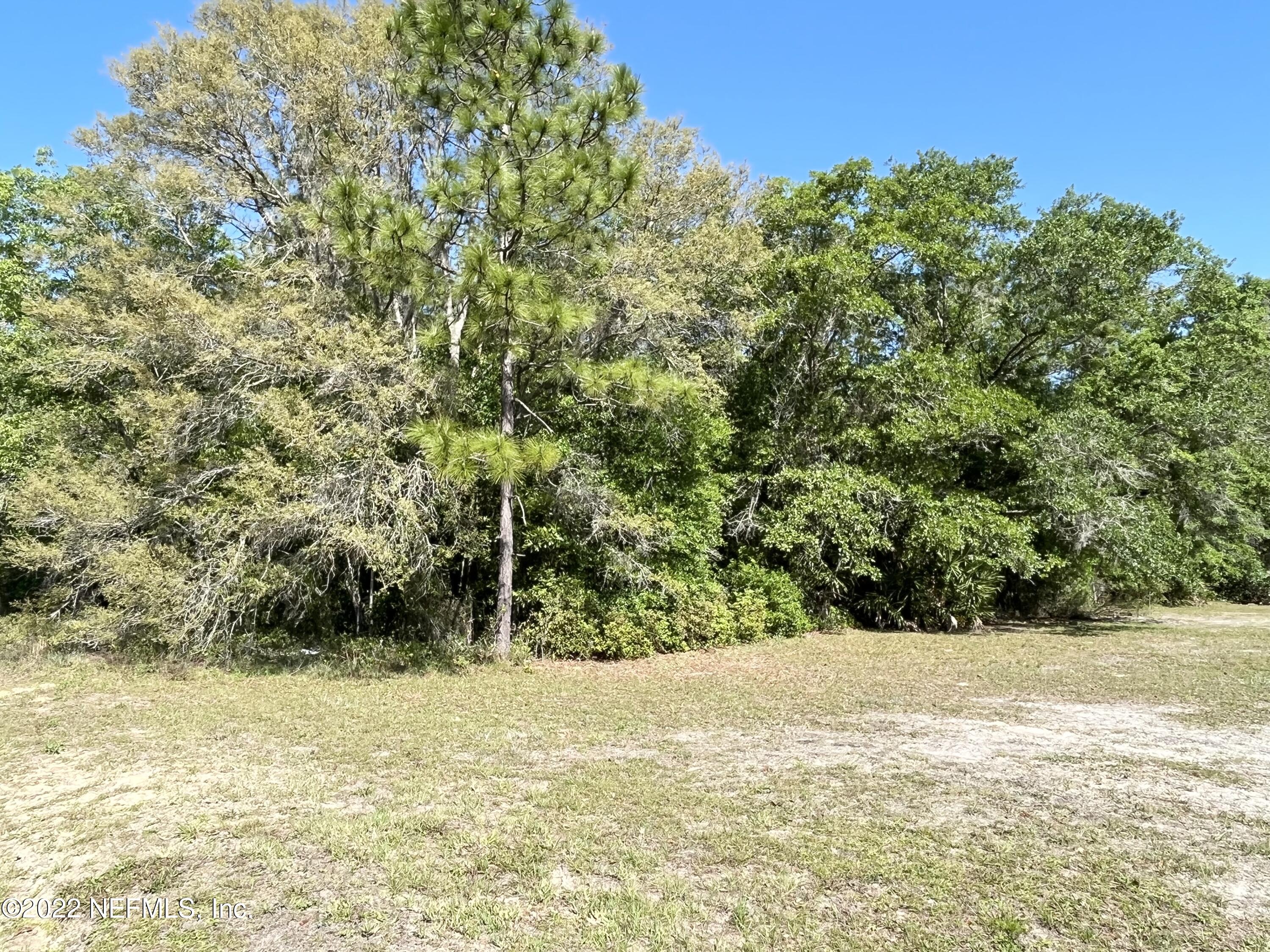 342 East Bannerville Road Palatka, FL 32177 - Photo 3 of 3 0E5886ED-F4DA-48D1-893F-3E2609006EBB