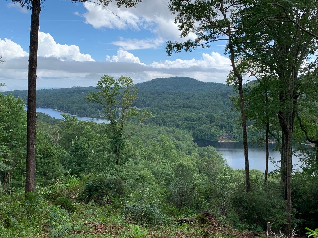 Lot 22 Panther Ridge Road Lake Toxaway, NC 28747 - Photo 3 of 28 Gallery Image 3