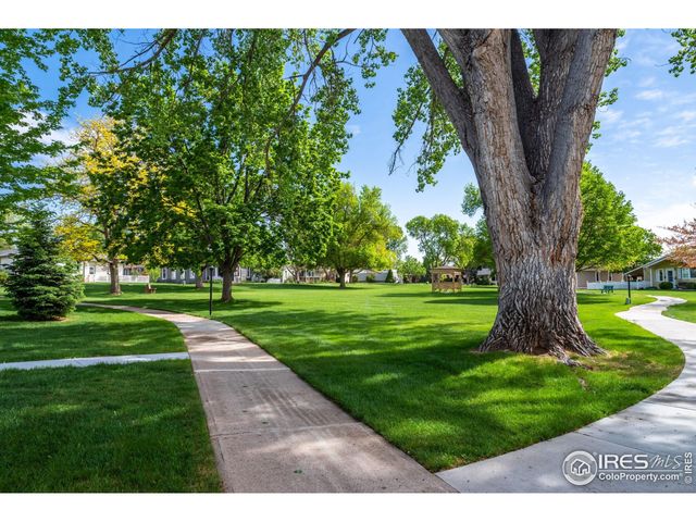 a view of a garden with a tree